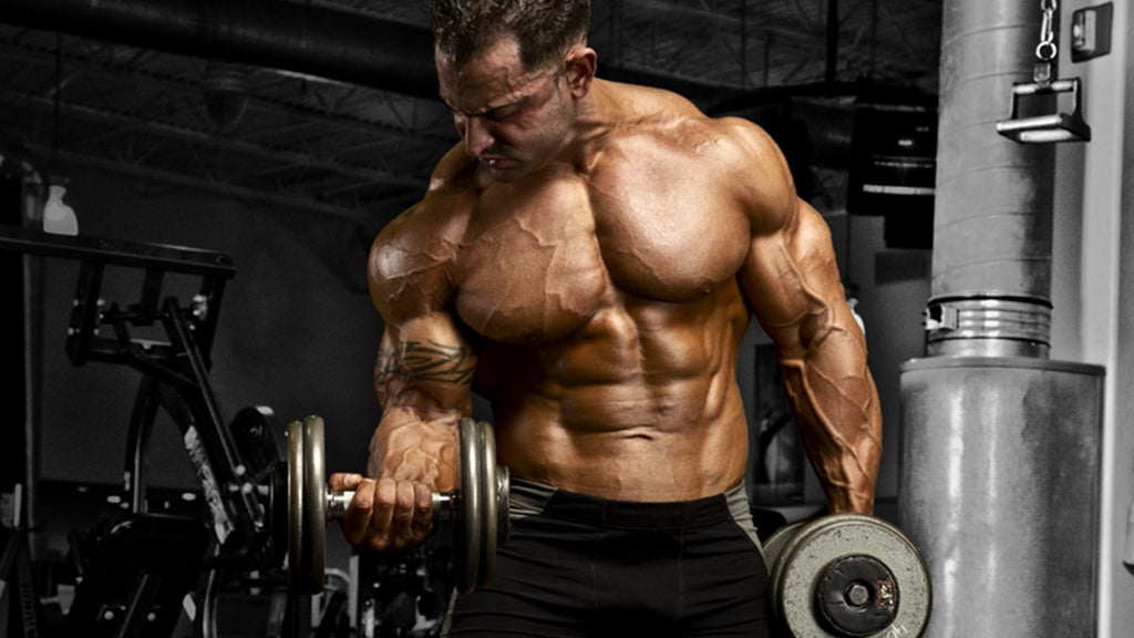 Can Intermittent Fasting Help You Gain Muscle Mass?