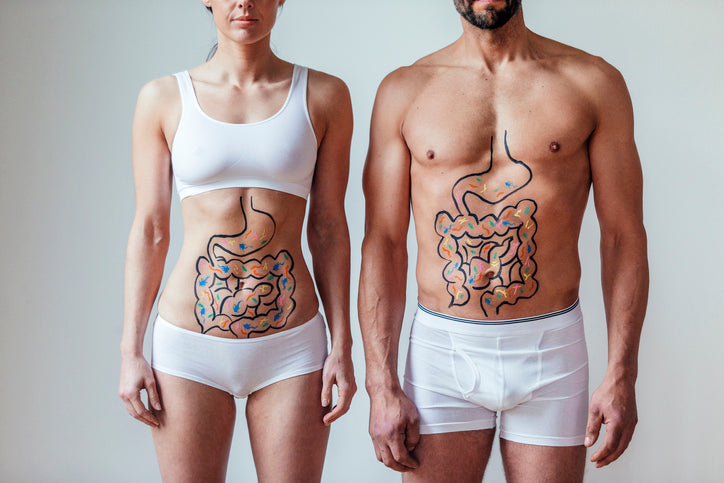 Muscle strength linked to healthy gut bacteria, says new study